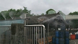 化工厂除臭