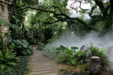 旅游景区景观造雾系统